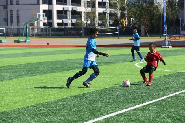 赵继伟24+12辽宁胜北控 王哲林31分上海胜四川